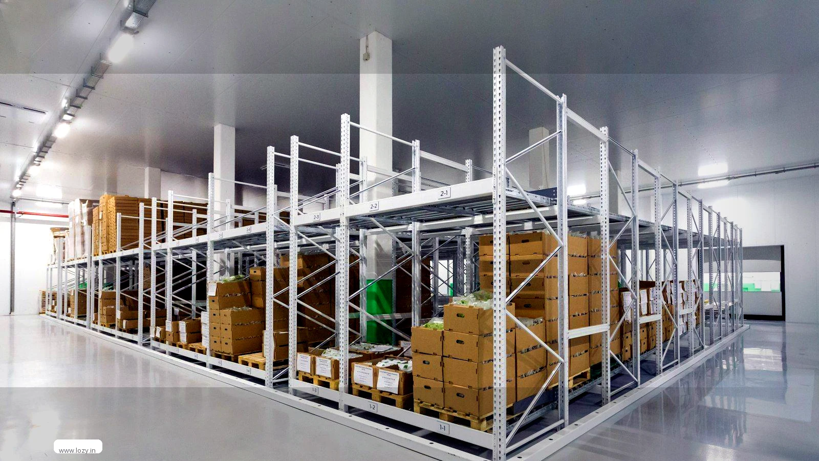 Inside a Lozy beauty and personal care warehouse at Manesar Sector 8, with shelving runs, cartons stacked upright and clear aisle space